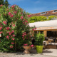 hôtel Montélimar Centre Ville Le Printemps