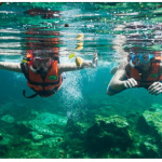 etude-de-cas-23-garagistes-total-formation-google-2