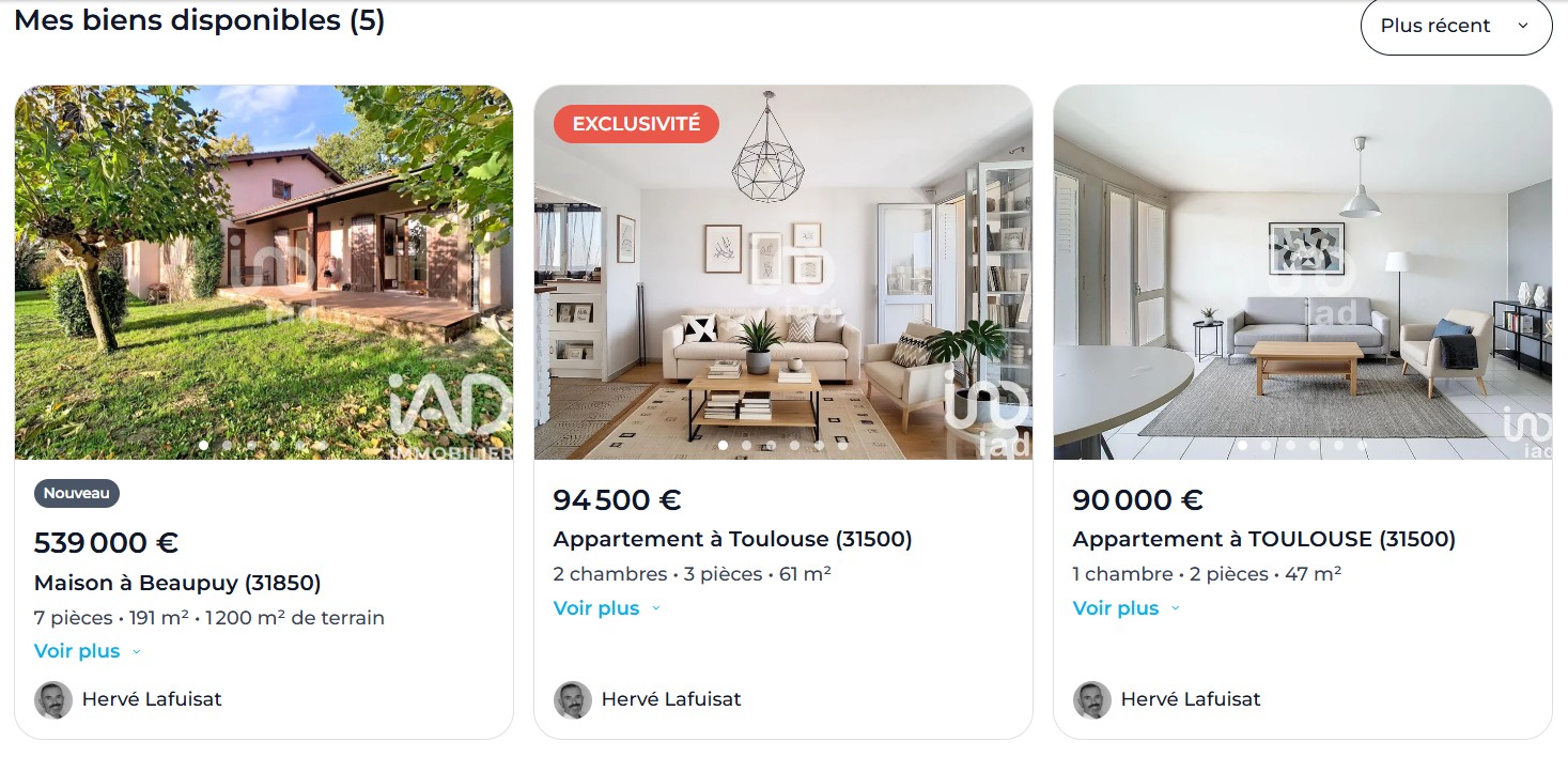 Etude de cas client N°15 - Hervé Lafuisat Agent Immobilier Toulouse