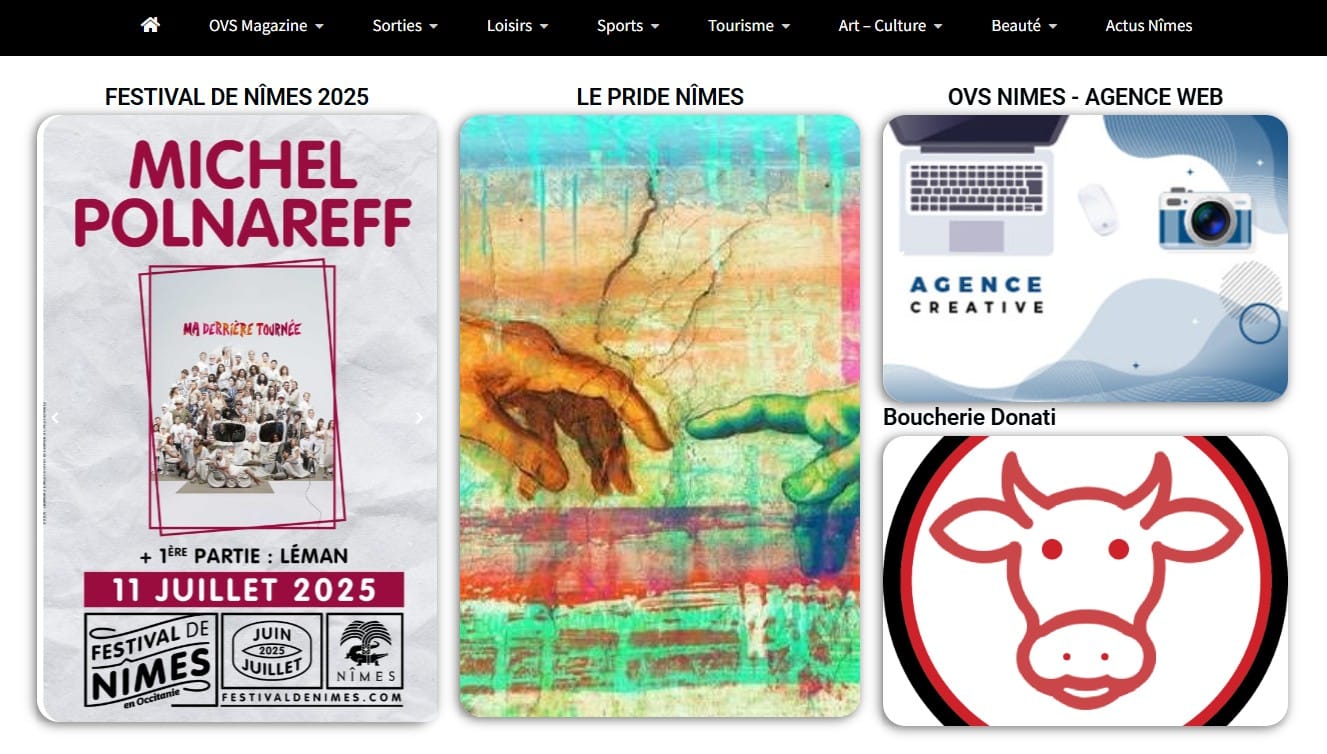 Etude de Cas Client N°9 - OVS Nimes media web pour le netlinking